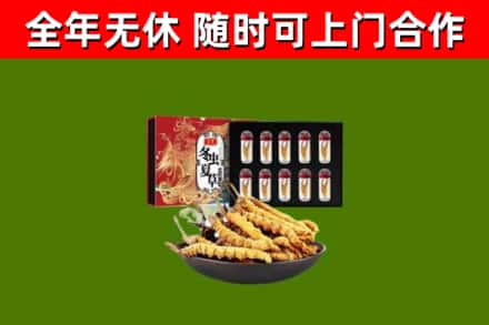 南沙回收冬虫夏草价格